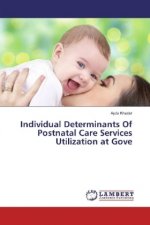 Individual Determinants Of Postnatal Care Services Utilization at Gove