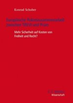 Europäische Polizeizusammenarbeit zwischen TREVI und Prüm
