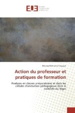 Action du professeur et pratiques de formation