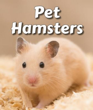 Pet Hamsters