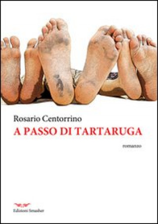 A passo di tartaruga