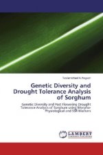 Genetic Diversity and Drought Tolerance Analysis of Sorghum