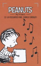 Ce la possiamo fare, Charlie Brown!