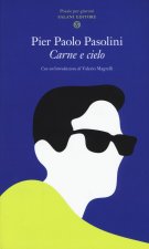 Carne e cielo