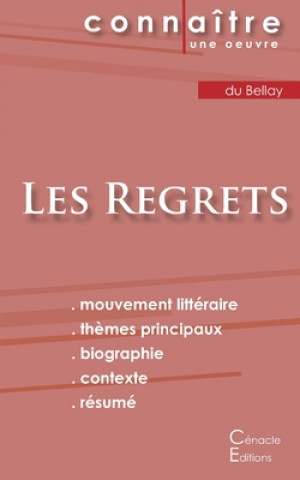 Fiche de lecture Les Regrets de Joachim du Bellay (Analyse litteraire de reference et resume complet)