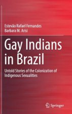 Gay Indians in Brazil