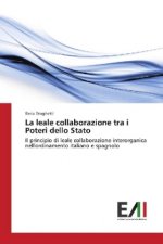 La leale collaborazione tra i Poteri dello Stato