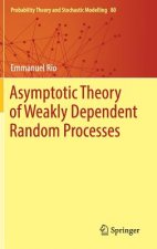 Asymptotic Theory of Weakly Dependent Random Processes