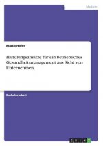 Handlungsansätze für ein betriebliches Gesundheitsmanagement aus Sicht von Unternehmen