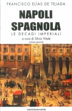 Napoli spagnola. Le decadi imperiali (1503-1554)