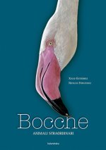 Bocche