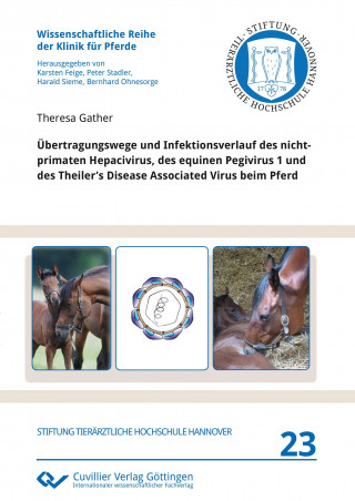 Übertragungswege und Infektionsverlauf des nicht-primaten Hepacivirus, des equinen Pegivirus 1 und des Theiler?s Disease Associated Virus beim Pferd