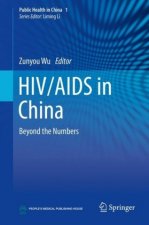 Hiv/AIDS in China: Beyond the Numbers
