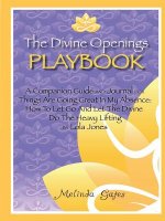 Divine Openings Playbook