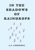 In the Shadows of Raindrops