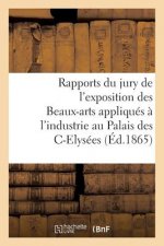 Rapports Du Jury de l'Exposition Des Beaux-Arts Appliques A l'Industrie