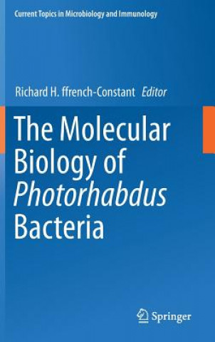 Molecular Biology of Photorhabdus Bacteria