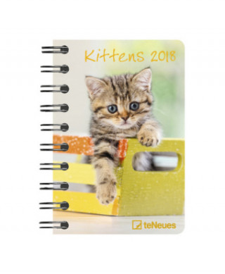 Kittens 2018 Pocket Diary