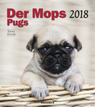 Knesebeck Der Mops 2018