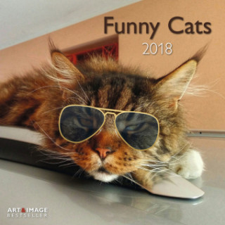 Funny Cats 2018 A&I