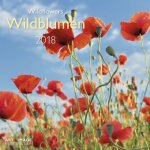 Wildblumen 2018 A&I