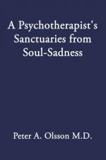 Psychotherapist's Sanctuaries from Soul-Sadness