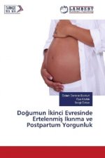 Dogumun Ikinci Evresinde Ertelenmis Ikinma ve Postpartum Yorgunluk