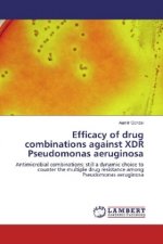 Efficacy of drug combinations against XDR Pseudomonas aeruginosa