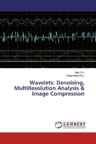 Wavelets: Denoising, MultiResolution Analysis & Image Compression