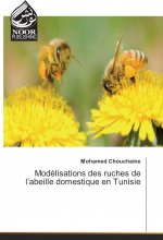 Modélisations des ruches de l'abeille domestique en Tunisie