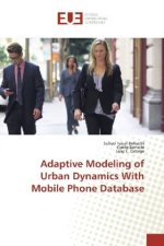 Adaptive Modeling of Urban Dynamics With Mobile Phone Database