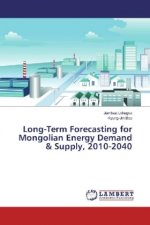 Long-Term Forecasting for Mongolian Energy Demand & Supply, 2010-2040