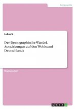 Demographische Wandel. Auswirkungen auf den Wohlstand Deutschlands