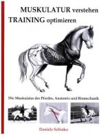 Muskulatur verstehen Training optimieren