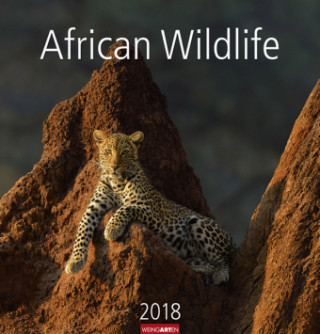 African Wildlife - Kalender 2018