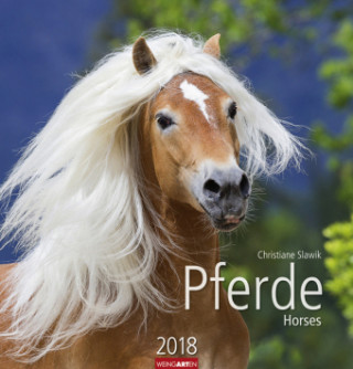 Pferde - Kalender 2018