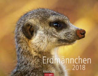 Erdmännchen - Kalender 2018