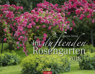 Im duftenden Rosengarten - Kalender 2018