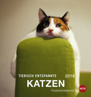 Tierisch entspannte Katzen Postkartenkalender - Kalender 2018