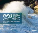 Wave watching. Lo spettacolo delle mareggiate in Liguria