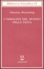 L'immagine del mondo nella testa
