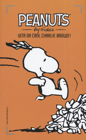 Vita da cani, Charlie Brown!