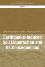 State of the Art and Practice in the Assessment of Earthquake-Induced Soil Liquefaction and Its Consequences