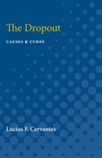 Dropout: Causes & Cures