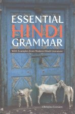 Essential Hindi Grammar: With Examples from Modern Hindi Literature