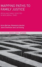 Mapping Paths to Family Justice