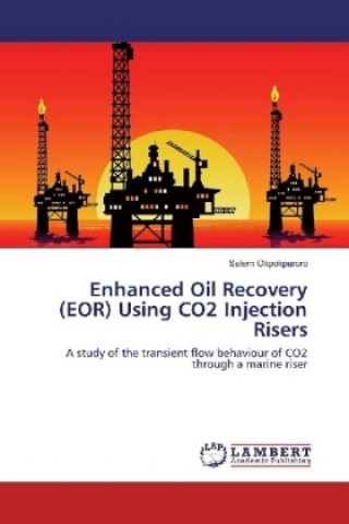 Enhanced Oil Recovery (EOR) Using CO2 Injection Risers
