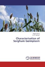 Characterisation of Sorghum Germplasm