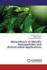 Biosynthesis of Metallic Nanoparticles and Antimicrobial Applications