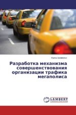 Razrabotka mehanizma sovershenstvovaniya organizacii trafika megapolisa